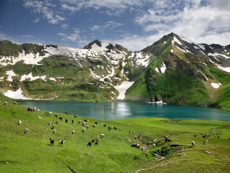 things to do in naran